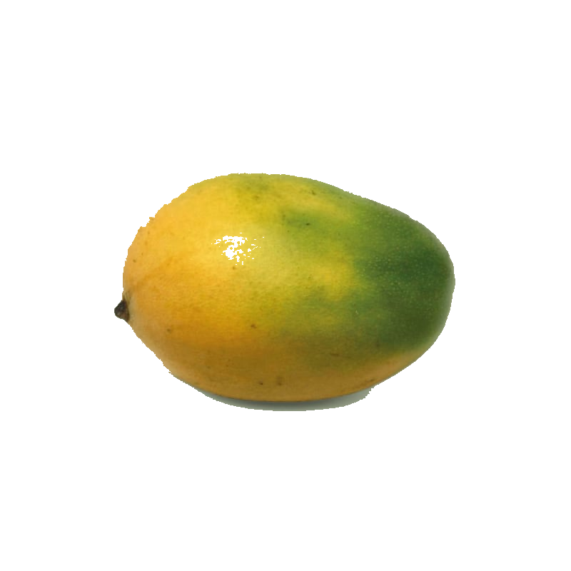 Mangue Pièce