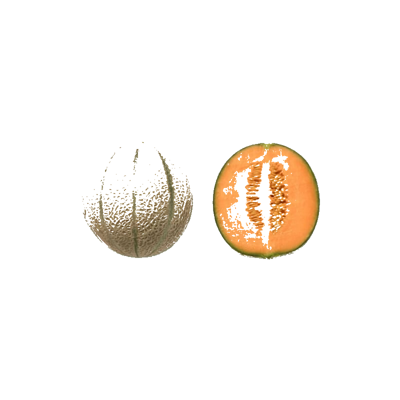 Melon Charentais