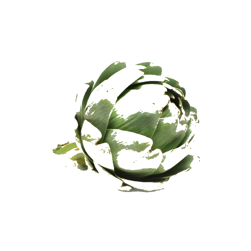Artichaut