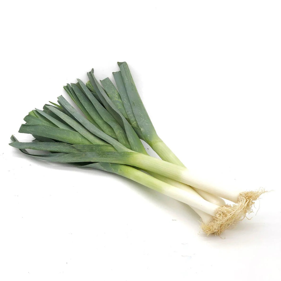 Poireaux