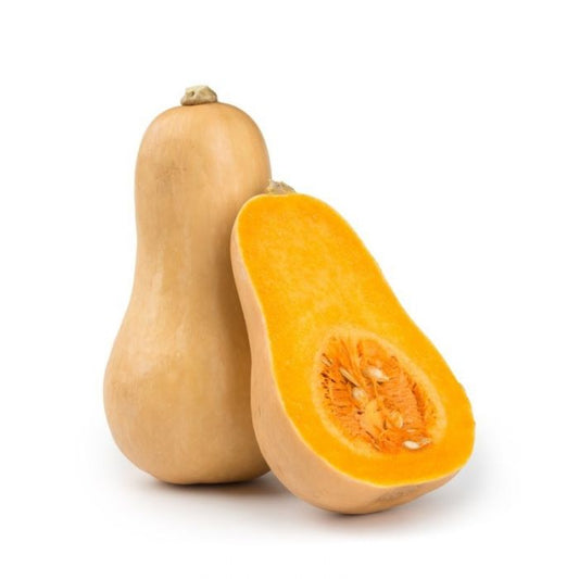 Butternut