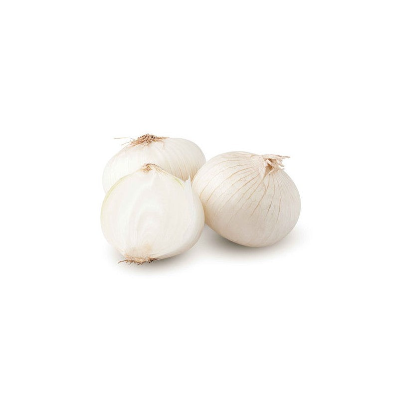 Oignons Blancs Vrac