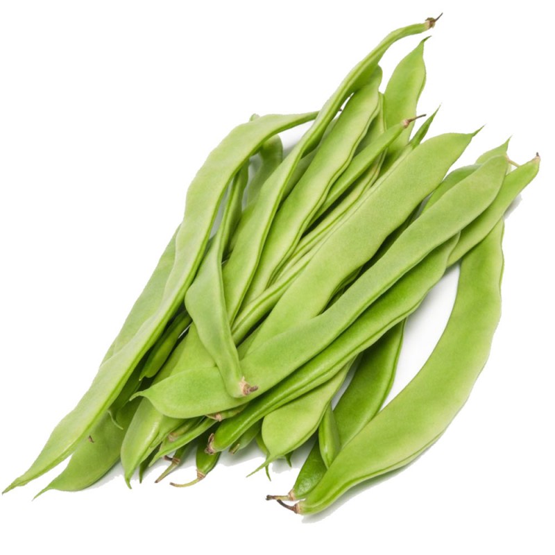 Haricots Coco Plats Vrac