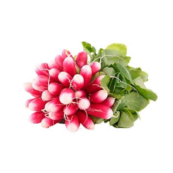 Radis Rose Botte