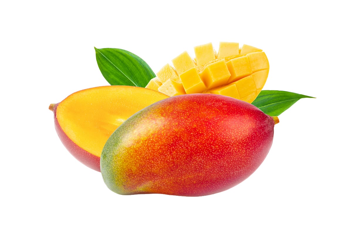 Mini Mangue