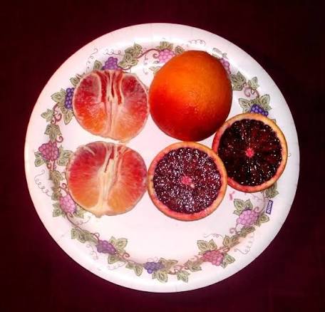 Orange sanguine