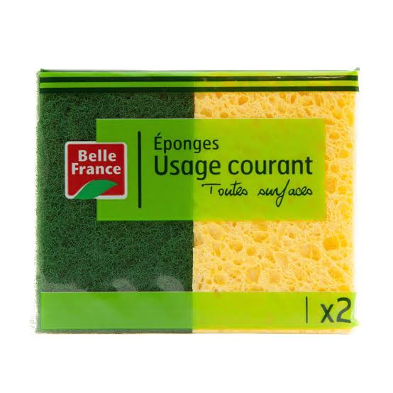 Tampon sur éponge x2