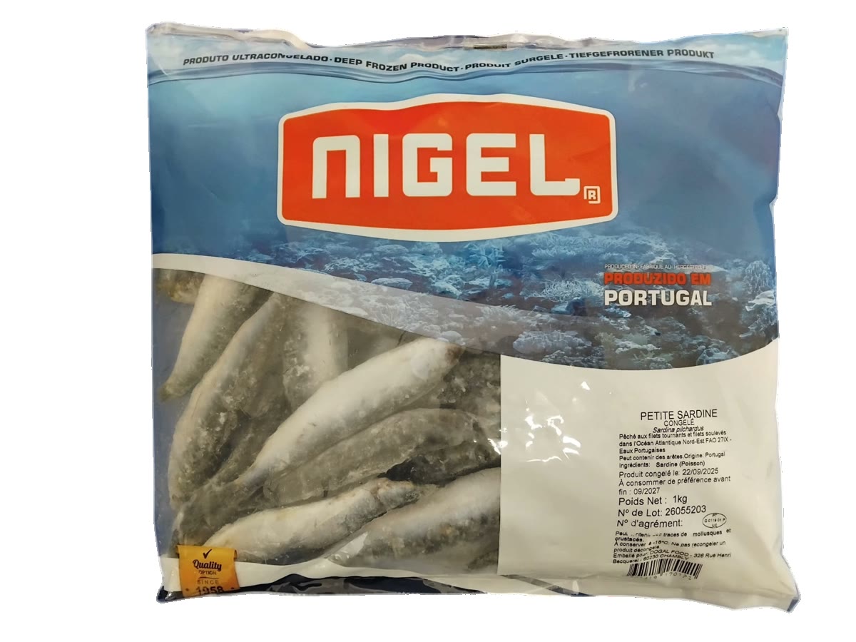 Sardine Entiere 1KG
