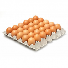 Œufs Frais Bruns x30