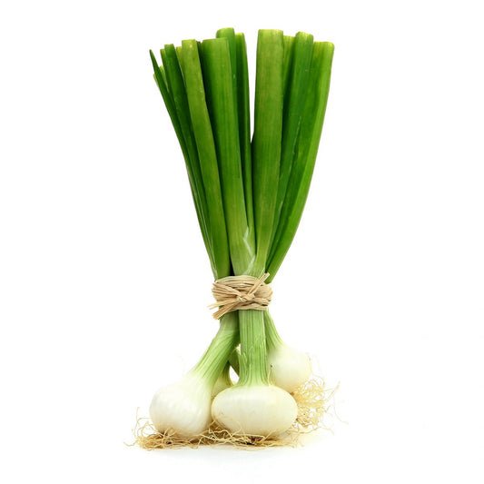 Oignon Botte
