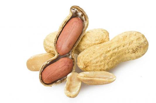Arachide Fraîche