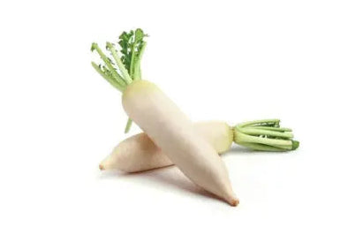 Navet Blanc Long