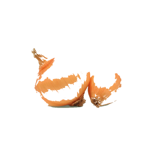 Filet Oignons 1kg