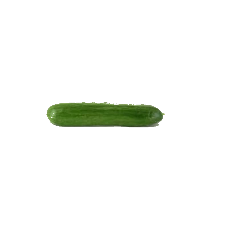 Mini Concombre