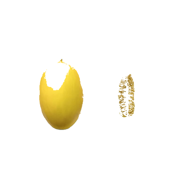 Melon Jaune