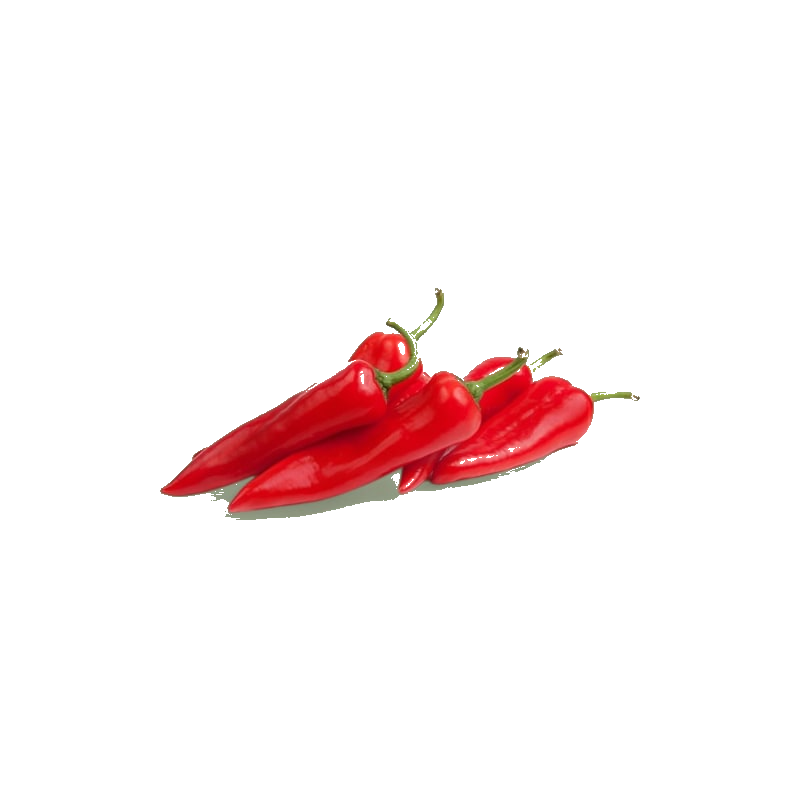 Poivron Corne Rouge
