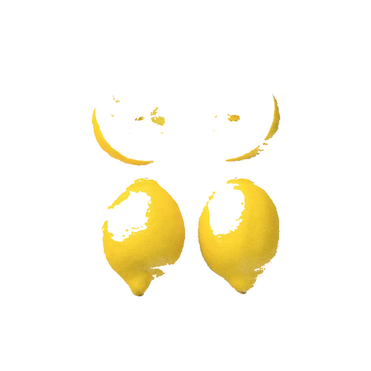 Citron Jaune Filet 500g