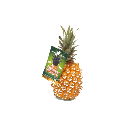 Ananas