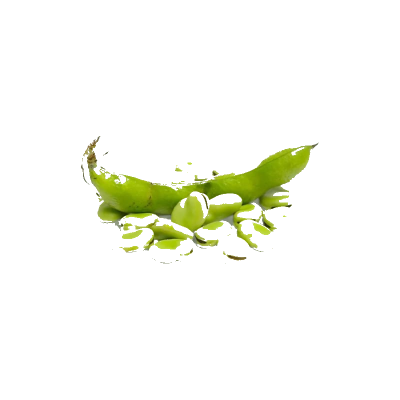 Fèves