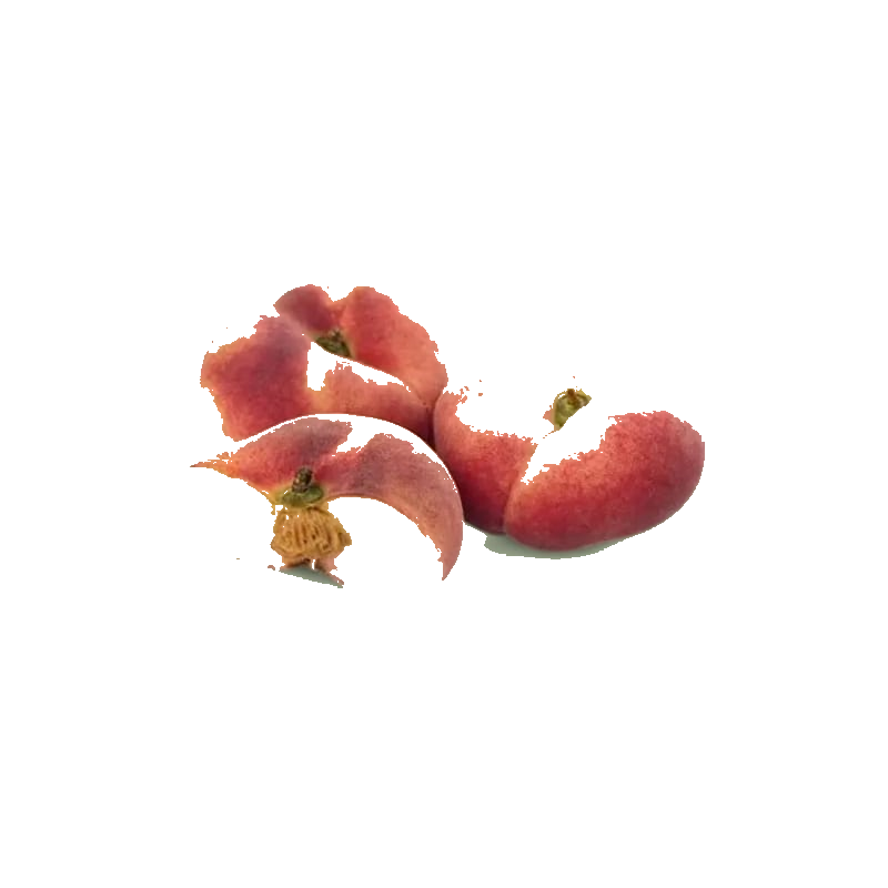 Pêche Plate Vrac
