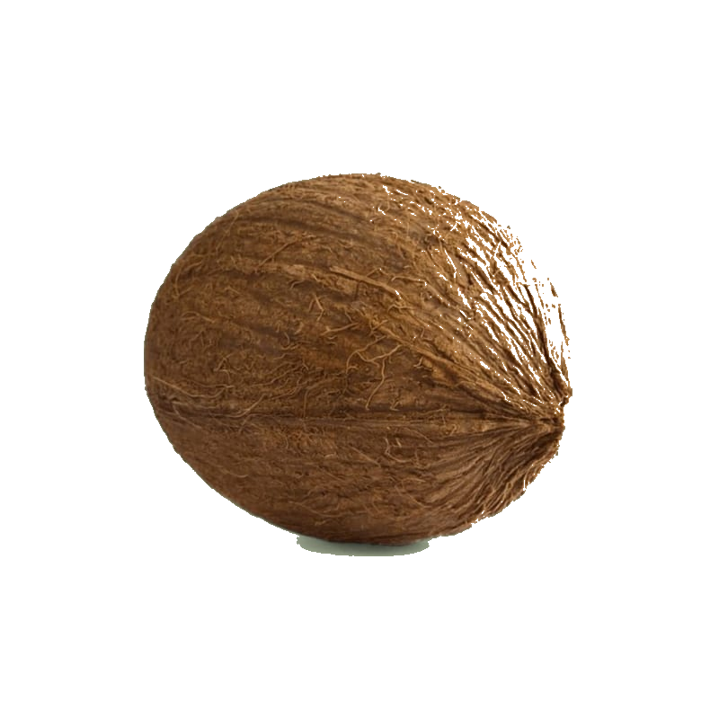 Noix de Coco Pièce