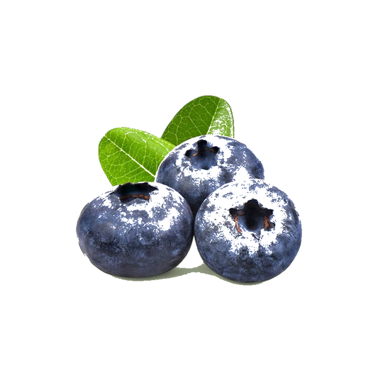 Myrtille 125g