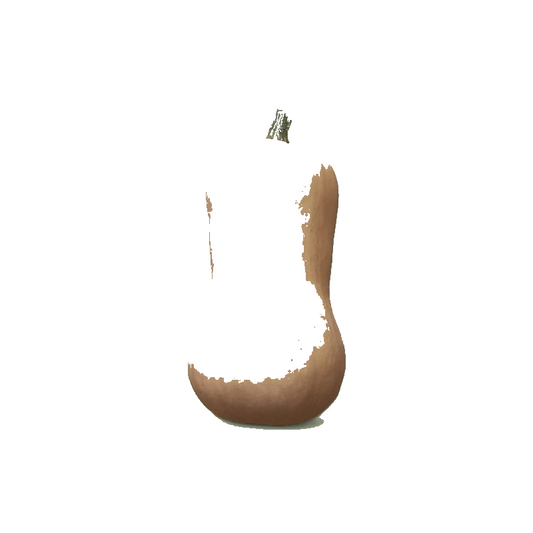 Butternut