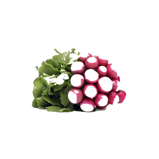 Radis Rose Botte