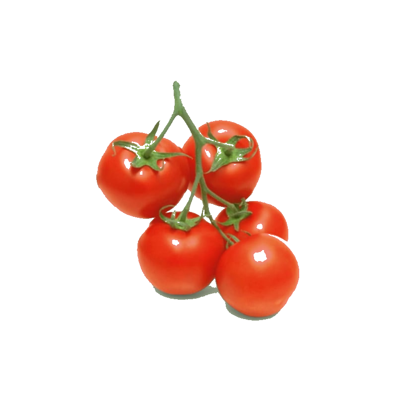 Tomate Grappe